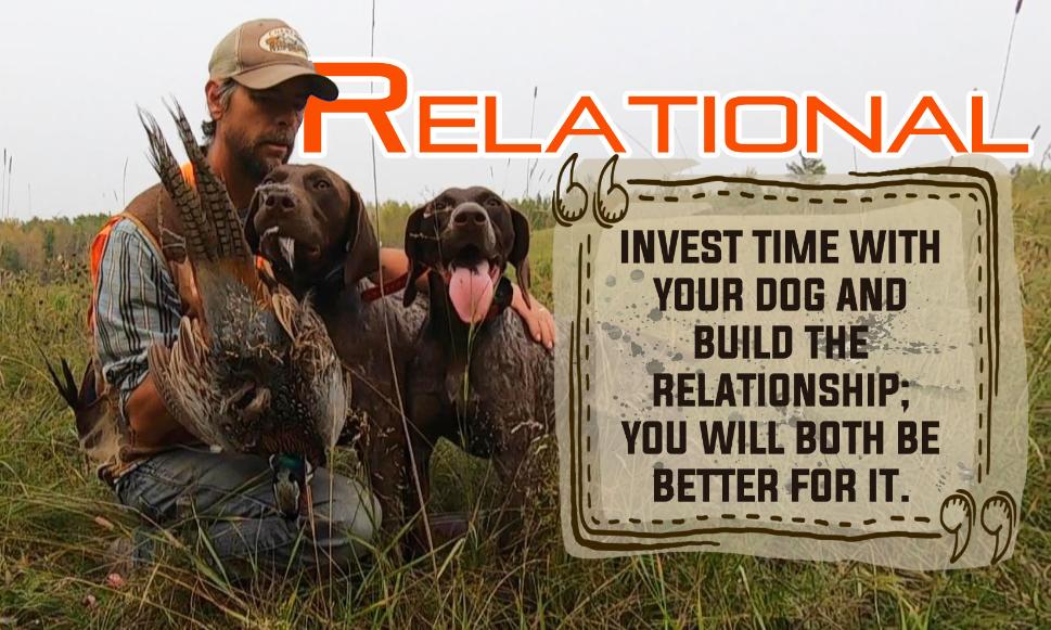 Champion Sporting Dogs Breeding Quality Hunting Dogs Alberta Canada